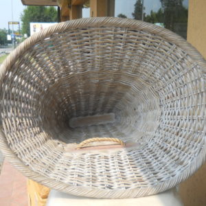 DSCN0486
