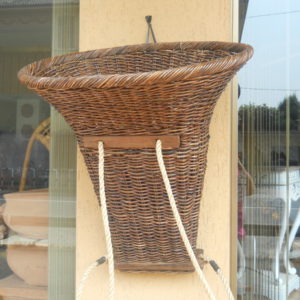 DSCN0487