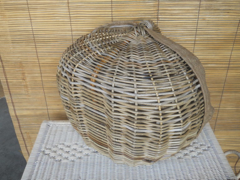 DSCN0679