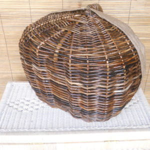 DSCN0681