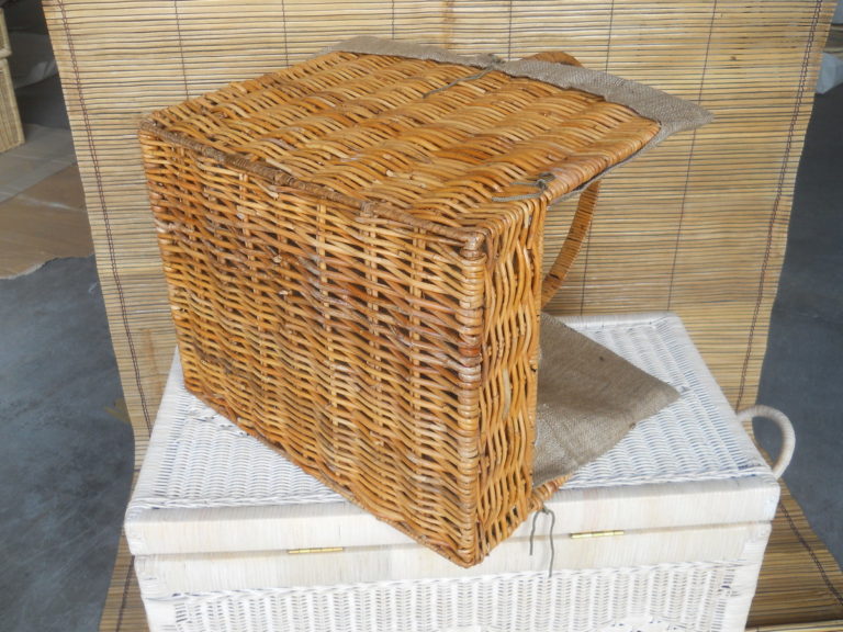 DSCN0699