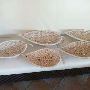FOGLIE 1