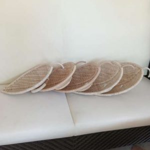 FOGLIE 2