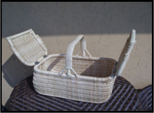 PIC NIC APERTO