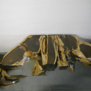 C1 (1)