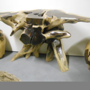 C5 (1)