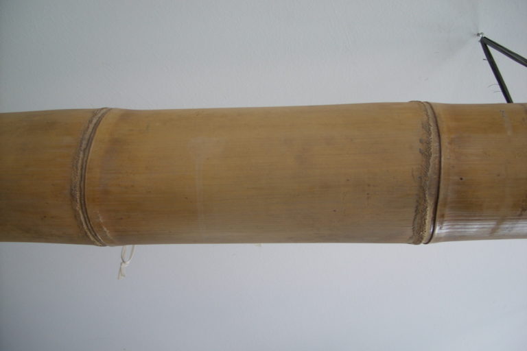 CANNA BAMBOO 200 CM NATURALE (1)