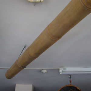 CANNA BAMBOO 200 CM NATURALE (3)