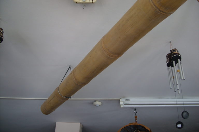 CANNA BAMBOO 200 CM NATURALE (3)