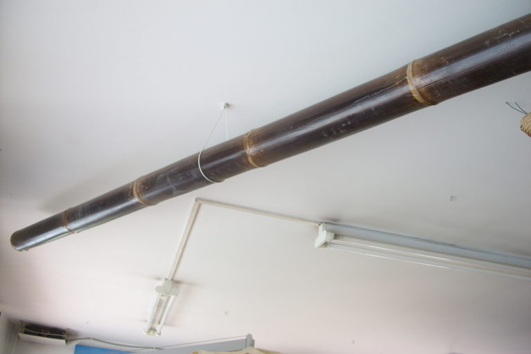 CANNA BAMBOO 200 CM NERA (1)