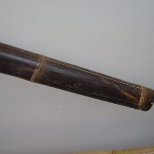 CANNA BAMBOO 200 CM NERA (2)
