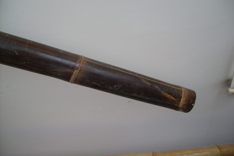 CANNA BAMBOO 200 CM NERA (2)