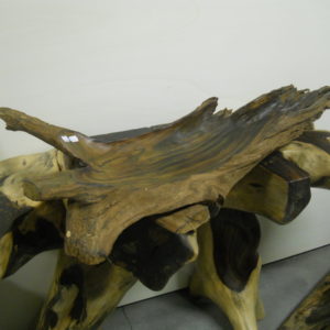 DSCN0827