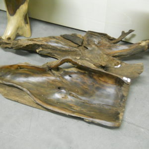 DSCN0831