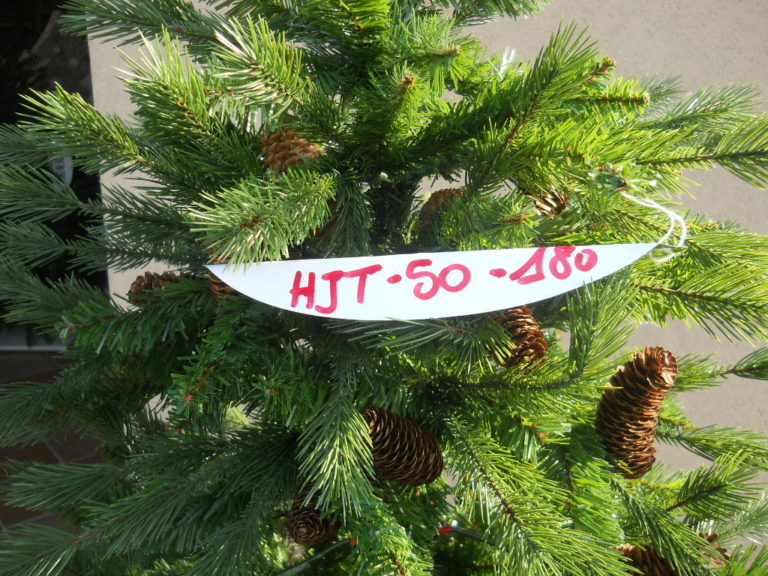 HJT50180 (1)