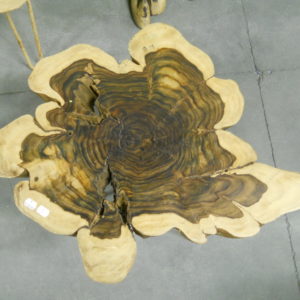 tavolini fetta albero sonoklin 4 misure (8)