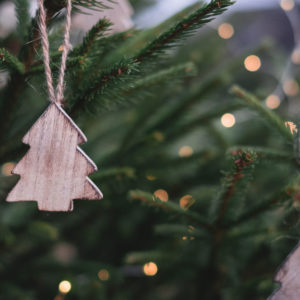 ALBERI DI NATALE E DECORI NATALIZI
