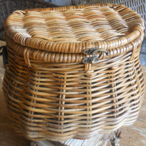 CESTERIA