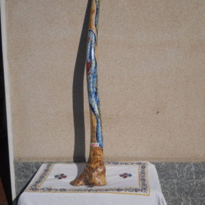 DE12 (2)