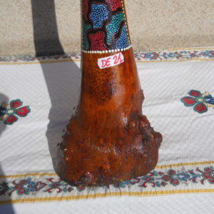 DE21 (2)