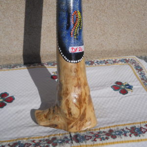DE24 (2)