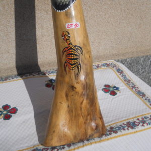 DT10 (2)