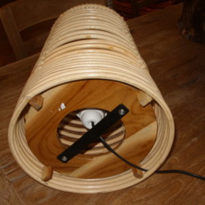 MODELLO 1 (3)