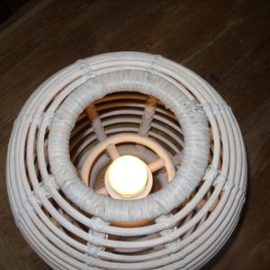 MODELLO 2 (1)