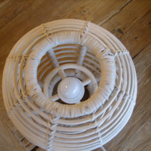 MODELLO 2 (2)