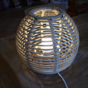 MODELLO 2 (4)
