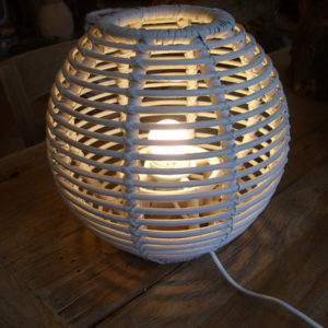 MODELLO 2 (7)