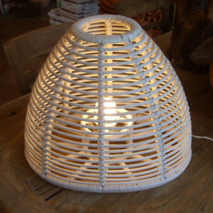 MODELLO 3 (1)