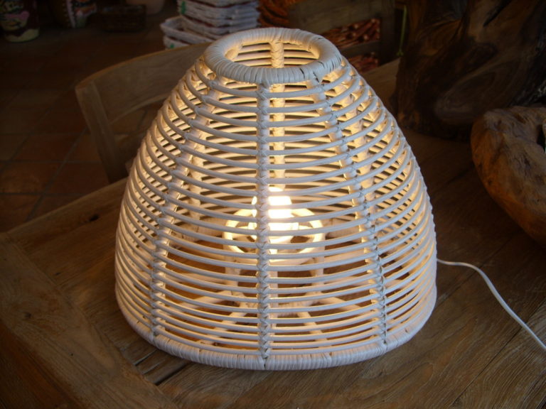 MODELLO 3 (1)
