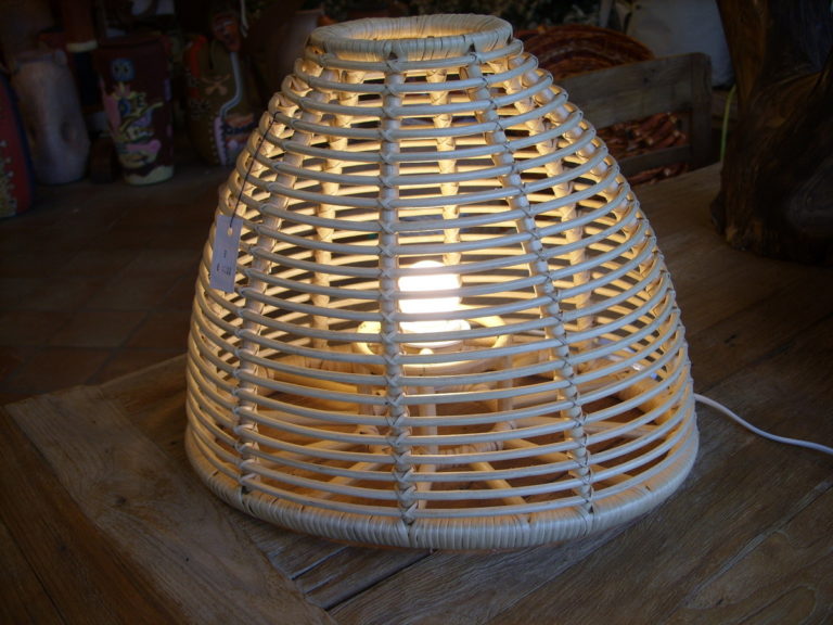MODELLO 3 (5)