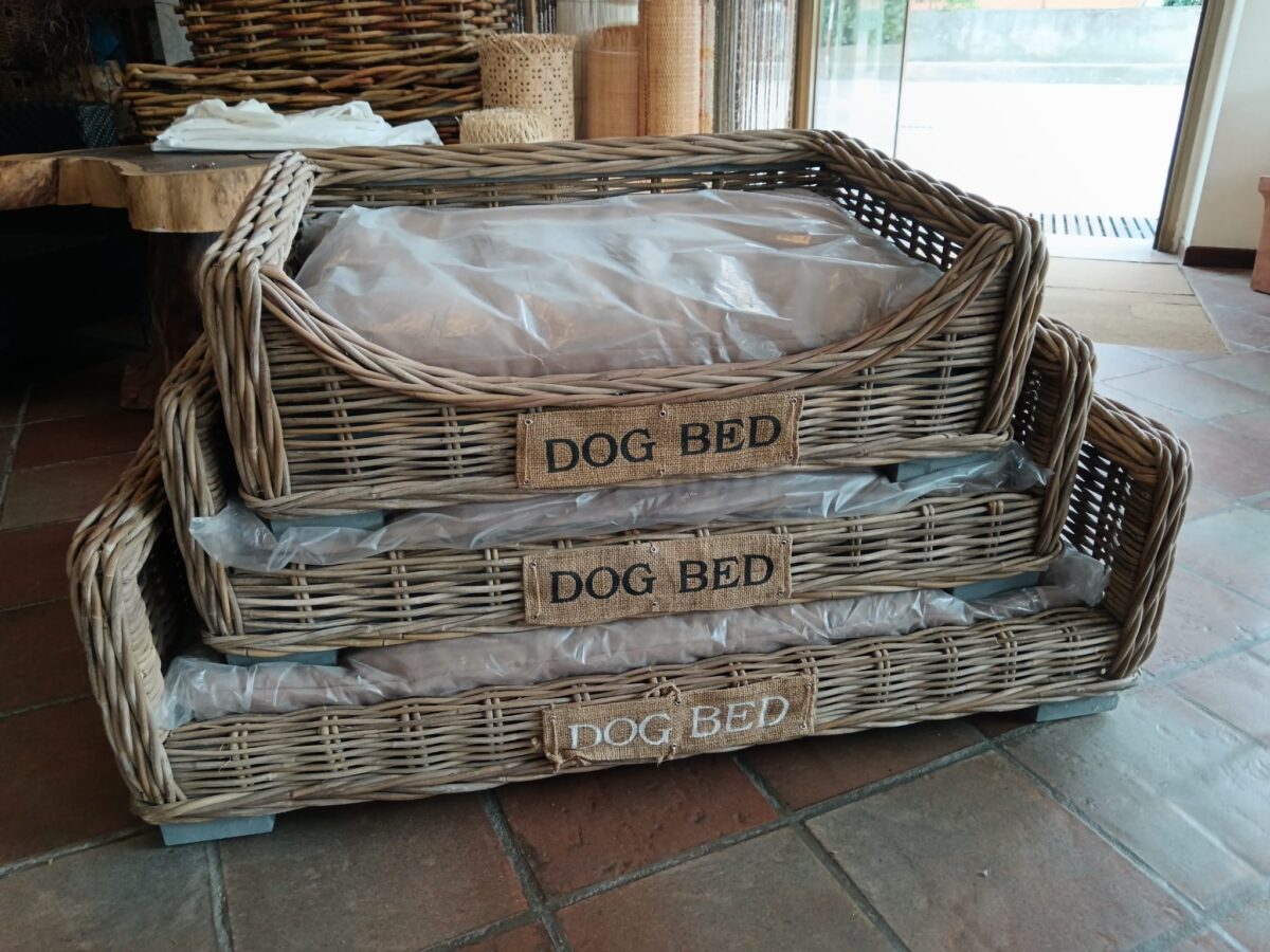 CUCCIA LETTINO DIVANETTO PER CANE GROSSA TAGLIA GRANDE ROBUSTA LEGNO GIUNCO VIMINI CON CUSCINO  SET DI 3 MISURE RETTANGOLARI