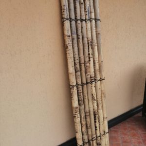 PANNELLI BAMBU 50 X200 H (2)