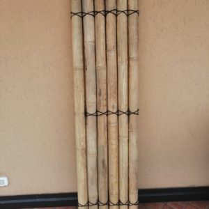 PANNELLI BAMBU 50 X200 H (3)