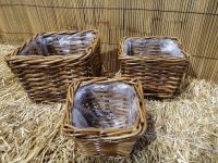 CESTO CESTINO QUADRATO   PER FIORI FIORISTI COMPOSIZIONI FODERATO IN PLASTICA IN VIMINI GIUNCO LEGNO  SET DI 3 MISURE IN 4 VARIANTI DI COLORE - immagine 4