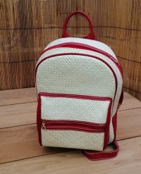 ZAINETTO CON  ZIP DAVANTI 22X12H33 CM IN VIMINI LEGNO PAGLIA NATURALE ECOLOGICA  CON SPALLACCI  4 COLORI DISPONIBILI - immagine 6