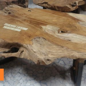 TCGF 3 Cm 110 x 66 H 45. Euro 290 A (1)