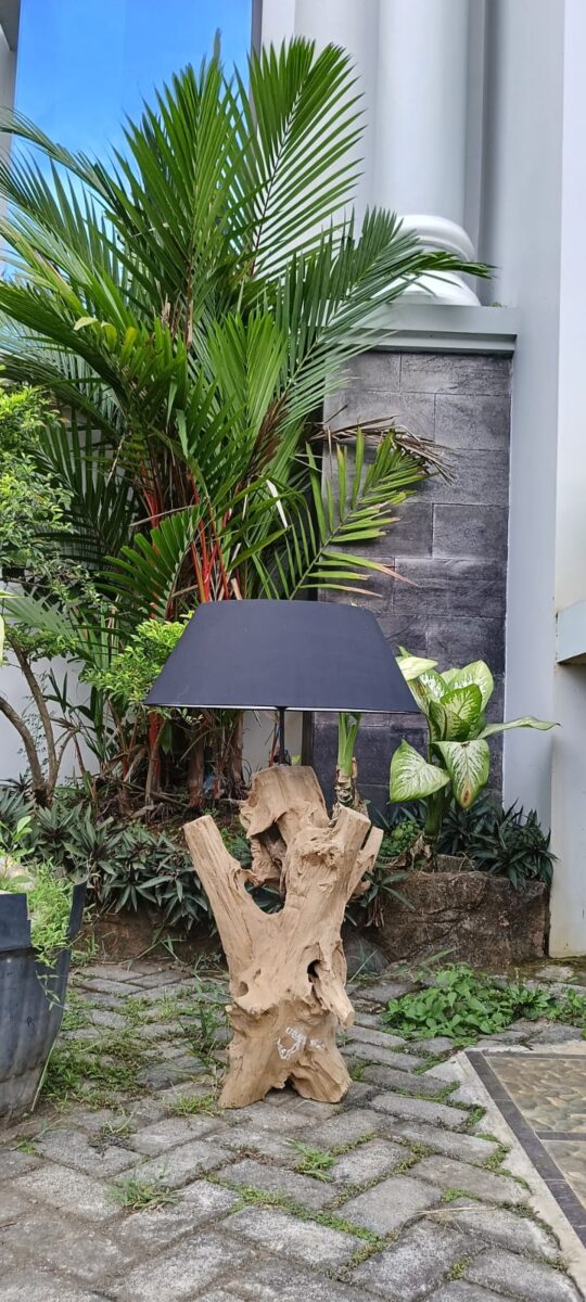 LAMPADA ETNICA IN RADICE LEGNO TEAK PARALUME A SCELTA SCURO CHIARO CODICE Wr08