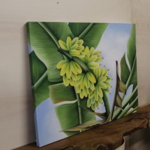 BANANE 90×120 € 80