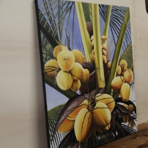 COCCHI – 70×90 € 80