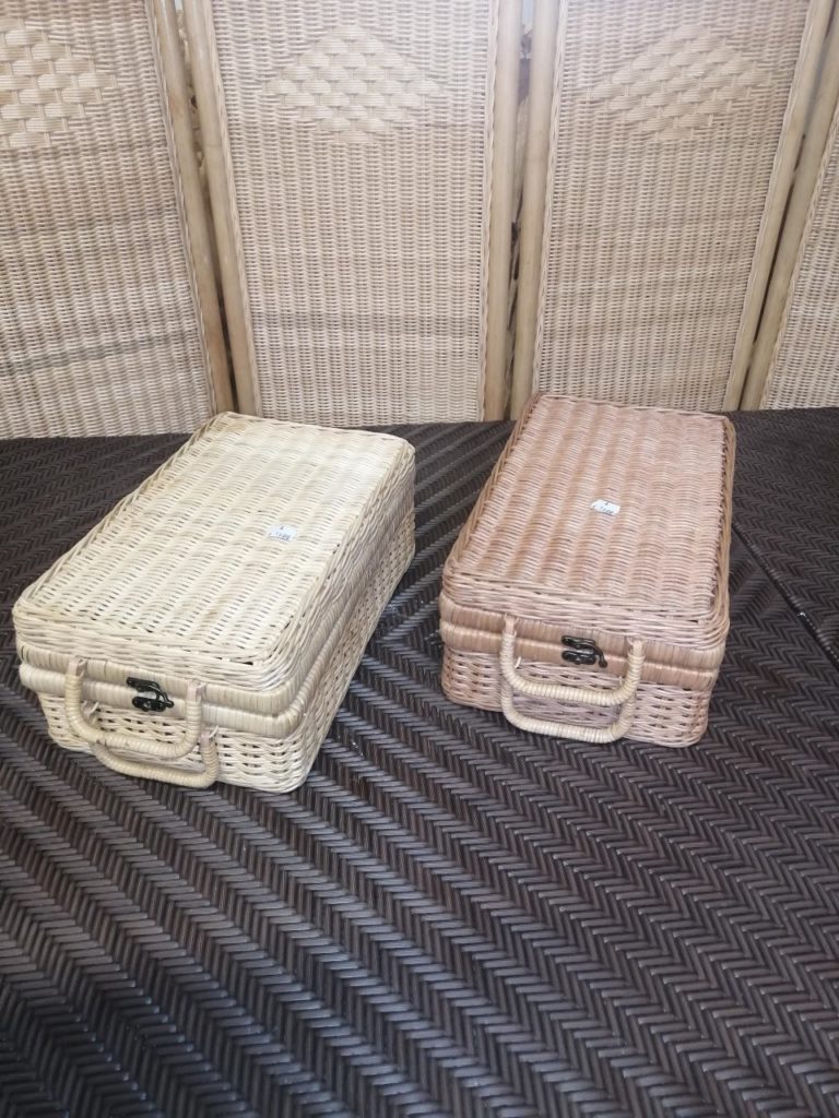 FOTO5