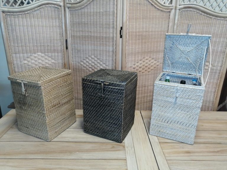 FOTO1