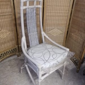 FOTO1