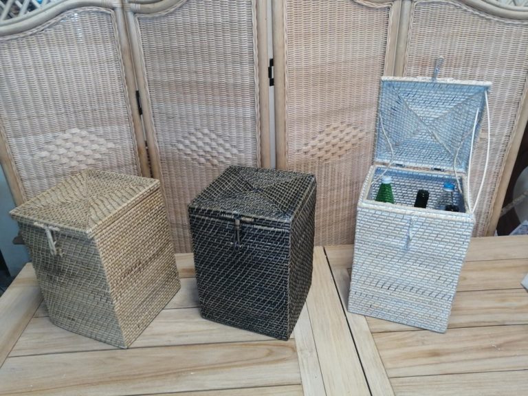 FOTO2