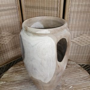 FOTO3