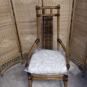 FOTO6