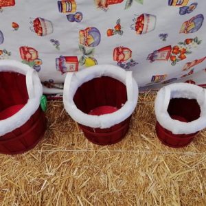 SET SECCHIELLI BABBO NATALE (5)